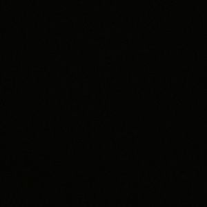 Meet your Posher, Eileen